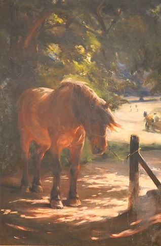 B C Pode, study of a horse, signed, oil on canvas, 90 x 60cm
